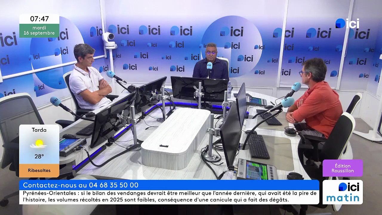 Julien Thiery, le responsable du service viticulture à la chambre d'agriculture des Pyrénées-Orientales