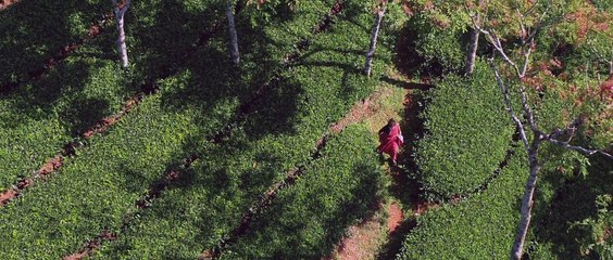 Aanum Pennum | movie | 2021 | Official Trailer