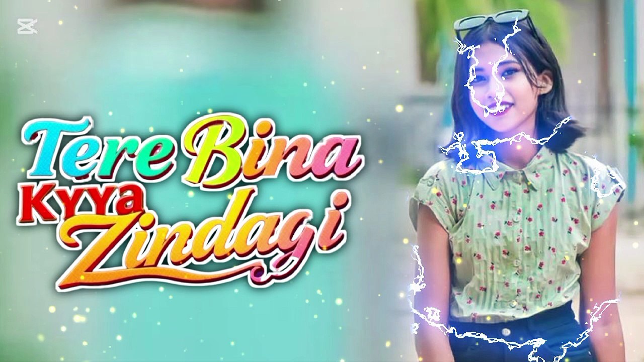 Tere Bina Kya Zindagi | Heart Touching Romantic Song | New Bollywood Love Melody 2025