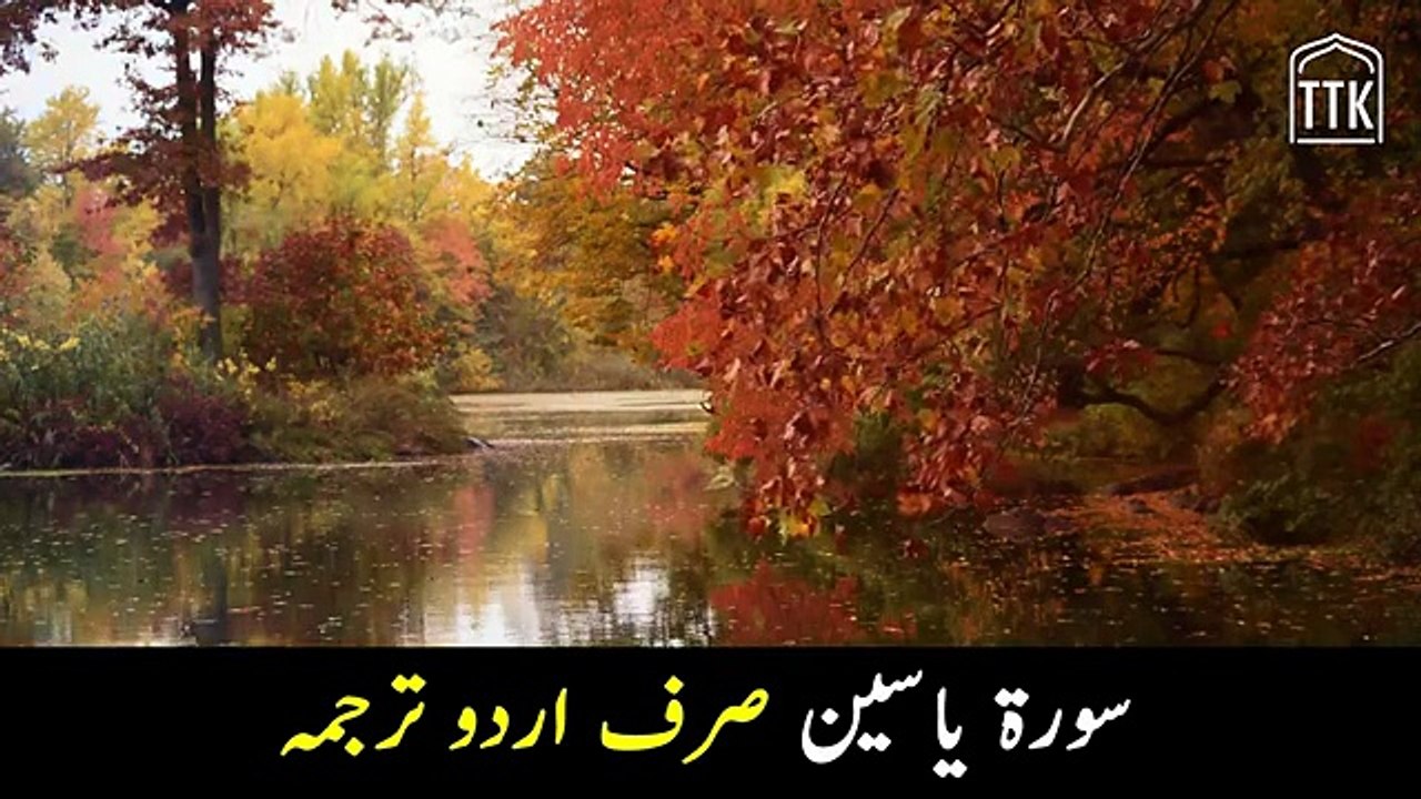 Surah Yaseen urdu translation _ Surah Yasin tarjuma from Quran Urdu Translation _ Surah 36