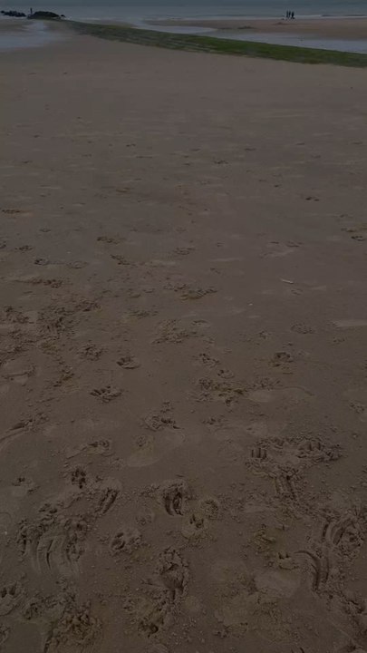 Stop au harcèlement !