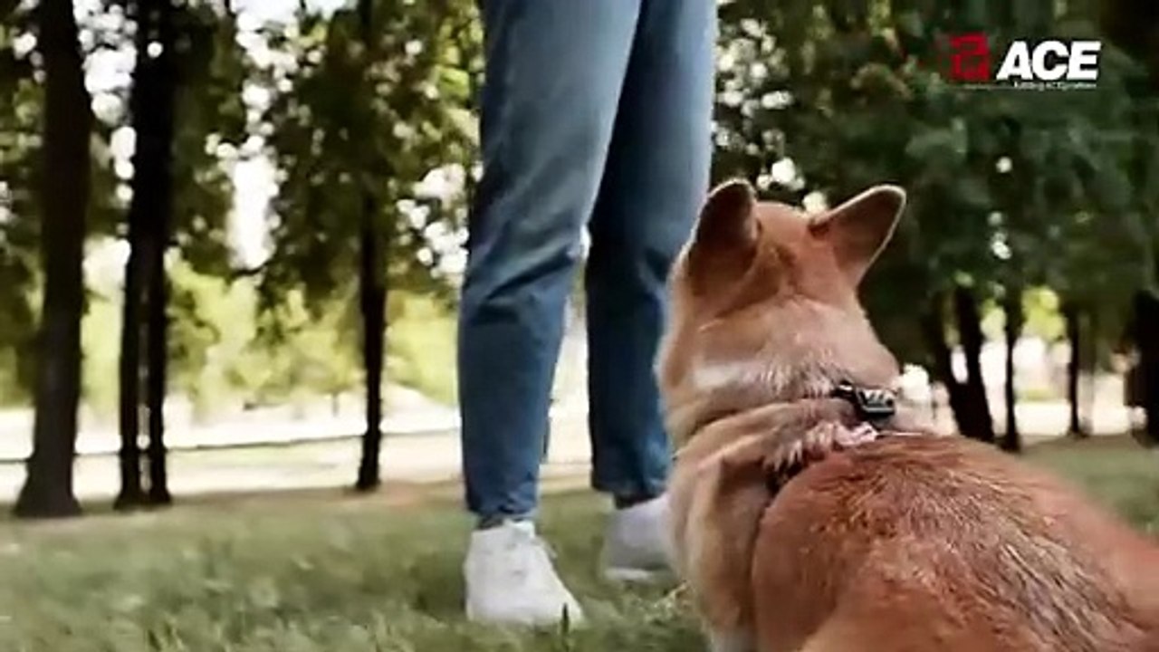 Why Millennials Are Buying Homes On The Noida–Greater Noida Expressway  ACE Group India