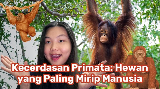Ini Primata Paling Mirip dengan Manusia-Serius Ini Hewan?