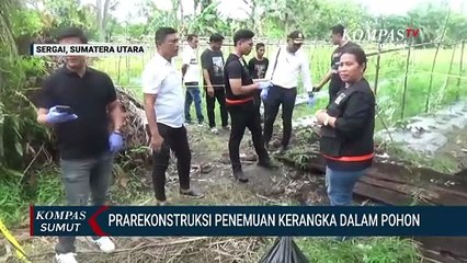 Tim Gabungan Gelar Prarekonstruksi Penemuan Kerangka Manusia Dalam Pohon
