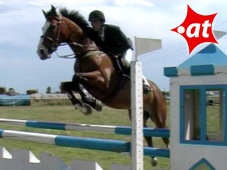 Jozsef Raatz, Springreiten, Burgenland (2007-064)