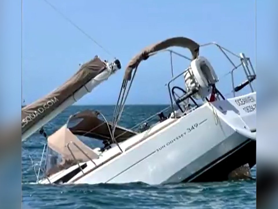 Angriff vor Lissabon: Orcas bringen Segelyacht zum Sinken