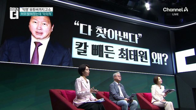 “다 찾아낸다”…최태원, 동거인 비방 유튜버 고소