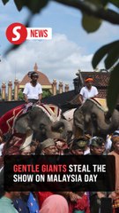 Gentle giants grace Malaysia Day parade near Istana Balai Besar