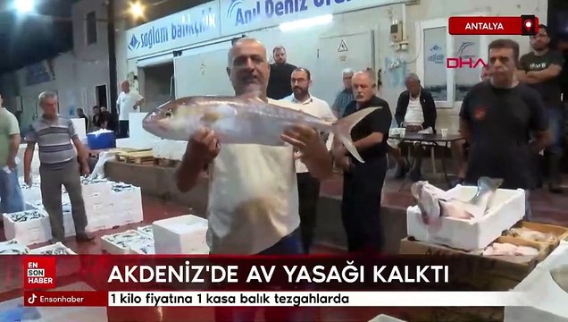 Akdeniz'de av yasağı kalktı: 1 kilo fiyatına 1 kasa balık tezgahlarda