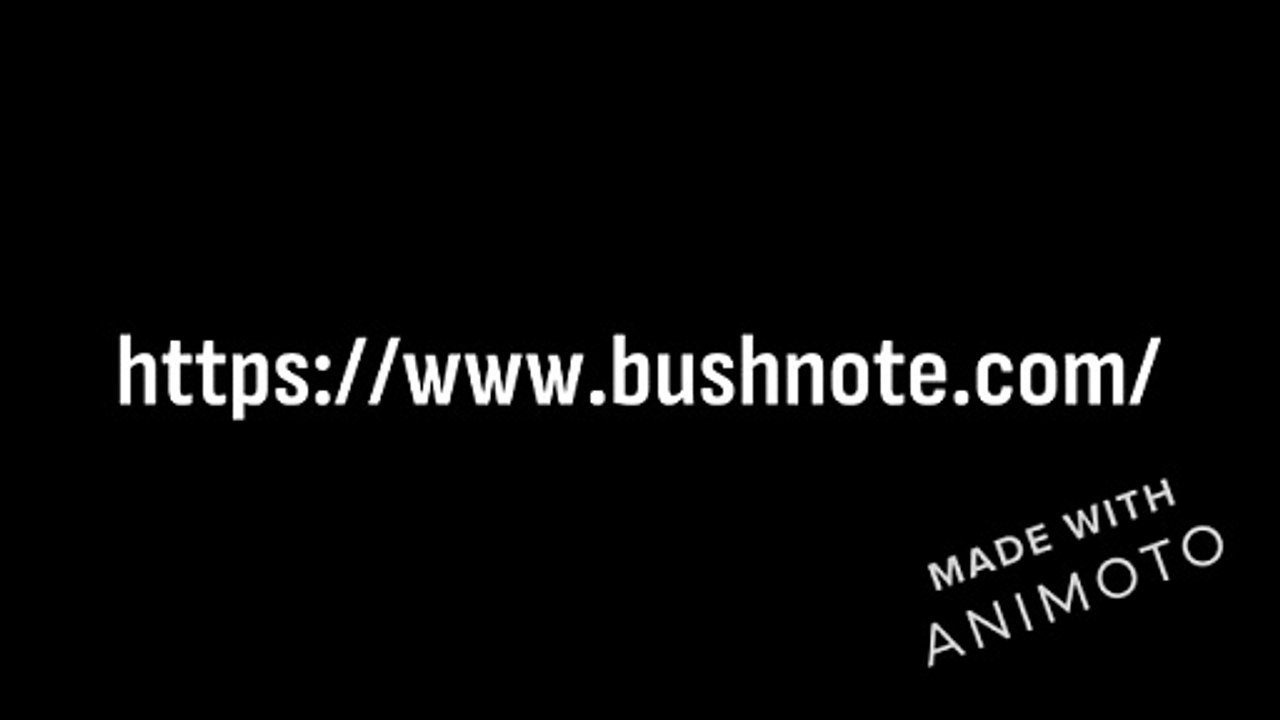 Bushnote__Strategic__Creative_Consultancy_360p