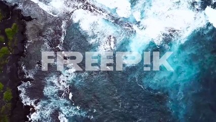 drone aerial pan up forest beach landscape