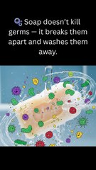 Interesting facts about soaps