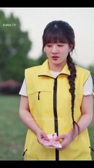 Secret Heirs & Hidden Hearts Chinese Drama - Full Drama Movies