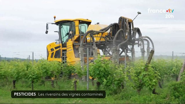 Les riverains vivant près de vignes sont plus imprégnés par les pesticides que les autres Français, conclut une étude nationale inédite, dévoilée par deux agences sanitaires - VIDEO