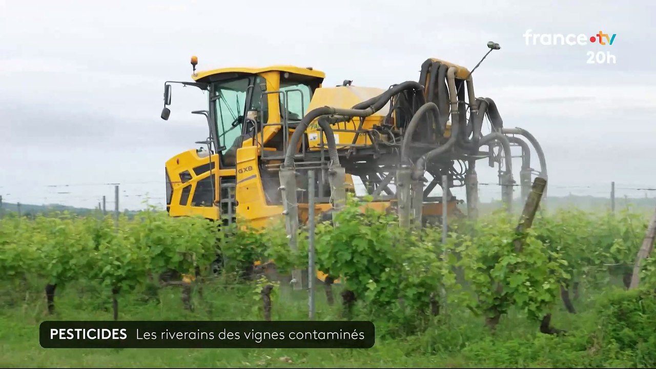 Les riverains vivant près de vignes sont plus imprégnés par les pesticides que les autres Français, conclut une étude nationale inédite, dévoilée par deux agences sanitaires - VIDEO