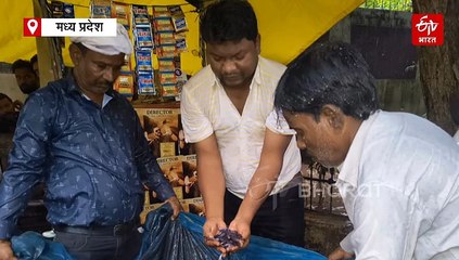 पानी के दैत्य थाई मांगुर की प्रतिबंध के बावजूद स्मगलिंग, पश्चिम बंगाल से पहुंची मछलियां जबलपुर में जब्त