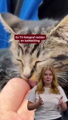 TV-hold redder kattekilling fra døden | 2025 | TV2 NORD