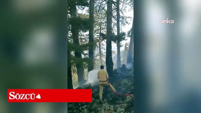 Köyceğiz’de ormanlık alanda çıkan yangın kontrol altına alındı