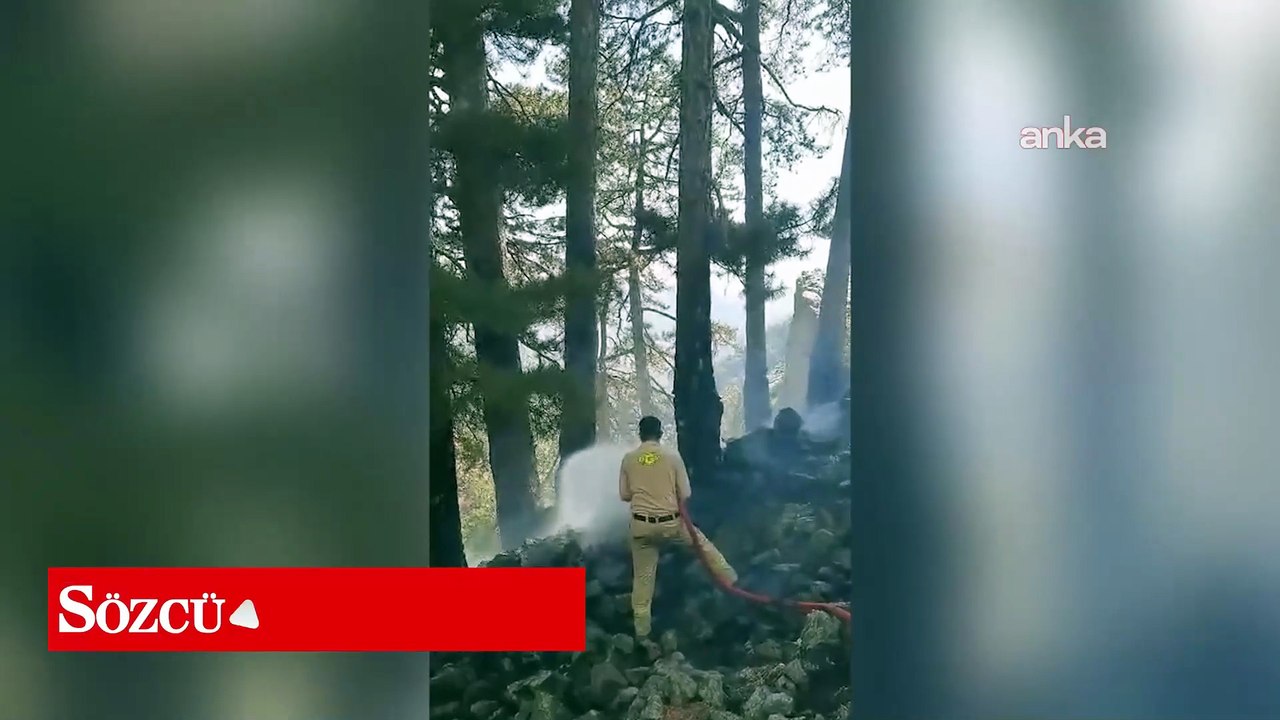 Köyceğiz’de ormanlık alanda çıkan yangın kontrol altına alındı