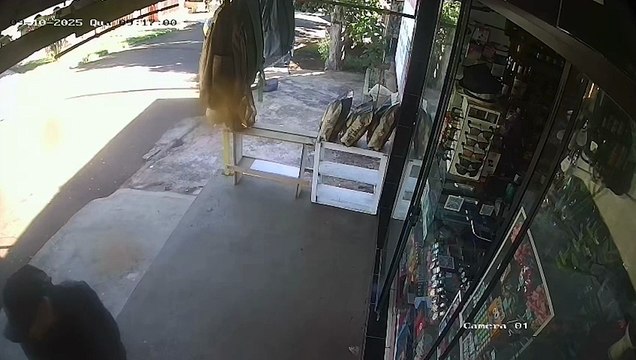 Polícia Civil prende suspeitos de furtos em Toledo