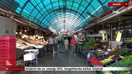 Akdeniz’de av yasağı bitti, tezgahlarda bolluk başladı