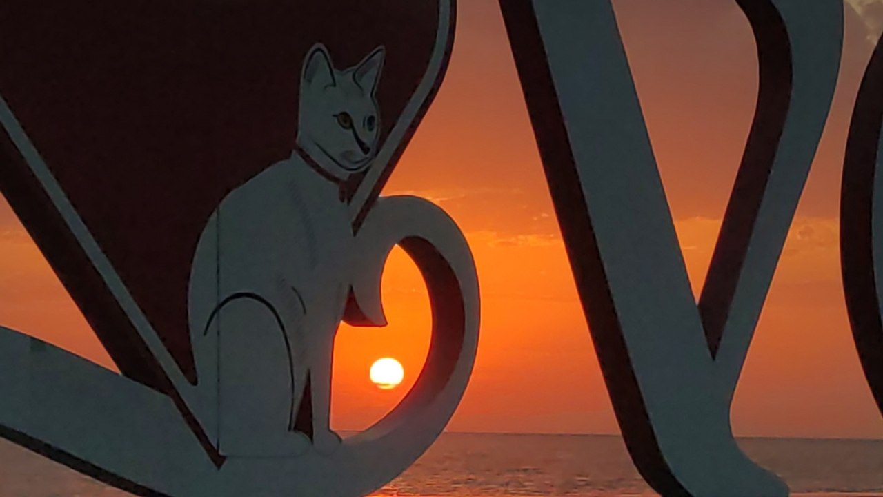 Turuncudan kızıla uzanan ahenk! Göl yüzeyine yansıdı