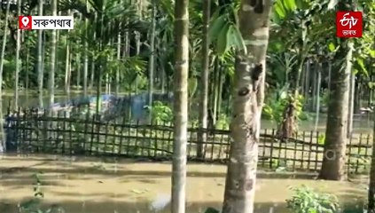 নীপকোৱে জাননী নিদিয়াকৈ এৰিছে পানী, ভদীয়া বানৰ কবলত ৫৬ খন গাঁও