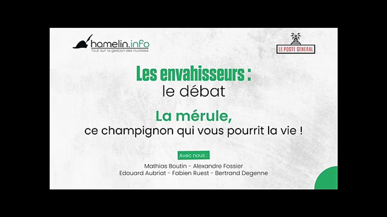 [Podcast] Mérule _ ce champignon qui vous pourrit la vie