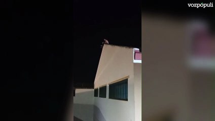 Fuga frustrada en Cádiz: un preso rompe su celda, escala al tejado y amenaza con suicidarse