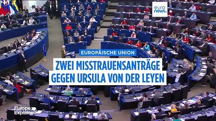 Die Linke bringt Misstrauensantrag gegen die EU-Kommission ein