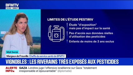 Les riverains qui vivent près des vignes sont surexposés aux pesticides, selon une étude de Santé publique France et l'Anses