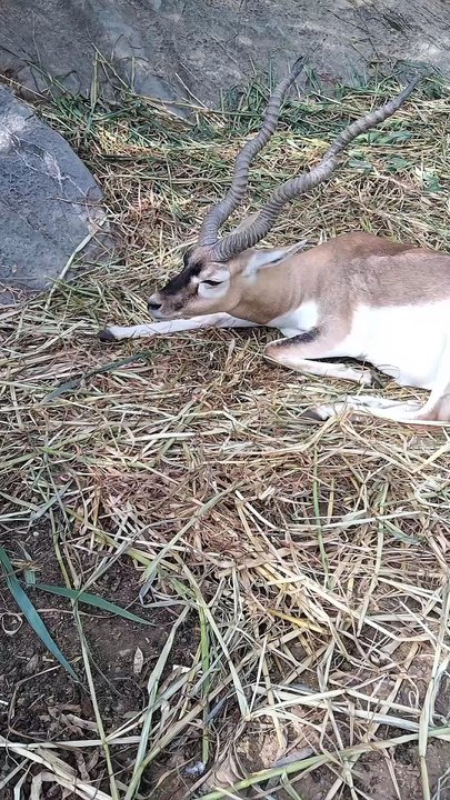 Can you do this?