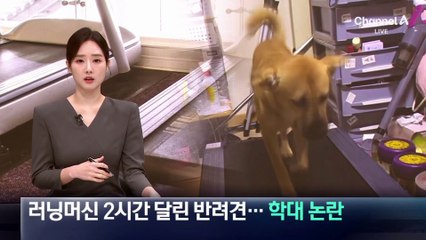 러닝머신 위 2시간…반려견 학대 논란