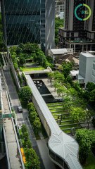 ReachGreen on Urban Green Spaces & Mental Health