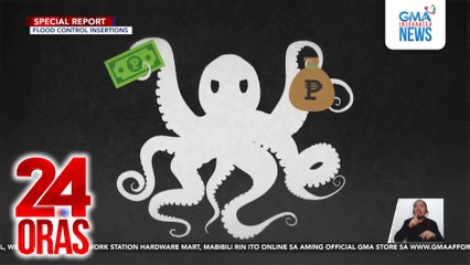 Special Report - pagbusisi sa proseso ng pagsisingit ng pondo sa mga proyekto mula NEP hanggang GAA | 24 Oras