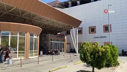 Bahçesindeki ağacı kesmek isterken feci şekilde can verdi