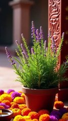 Ek Tulsi Patta Itna Shaktishaali Kyun Hota Hai? | एक तुलसी पत्र इतना शक्तिशाली क्यों होता है?