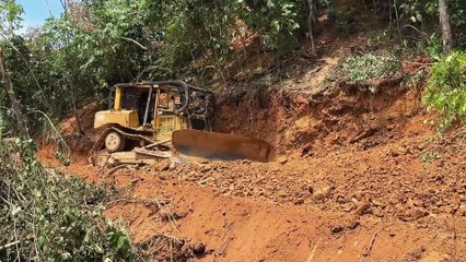 The Process of Expanding Plantation Roads Using D6R XL Bulldozers