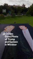 Giant Photo of Trump and Epstein in Windsor