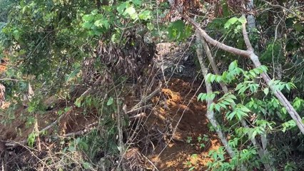 Bulldozer D6R XL Opens Up Hope in Difficult Terrain