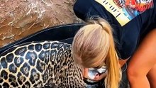 Why can cheetahs be tame? girl bathing cheetah