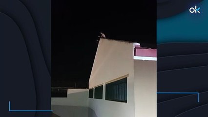 Intento de fuga en la cárcel de El Puerto: un preso hace un butrón, sube al tejado y amenaza con tirarse