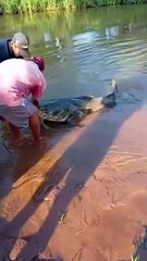 Pescador de Porto Camargo captura Jaú de 80 kg e devolve ao Rio Paraná