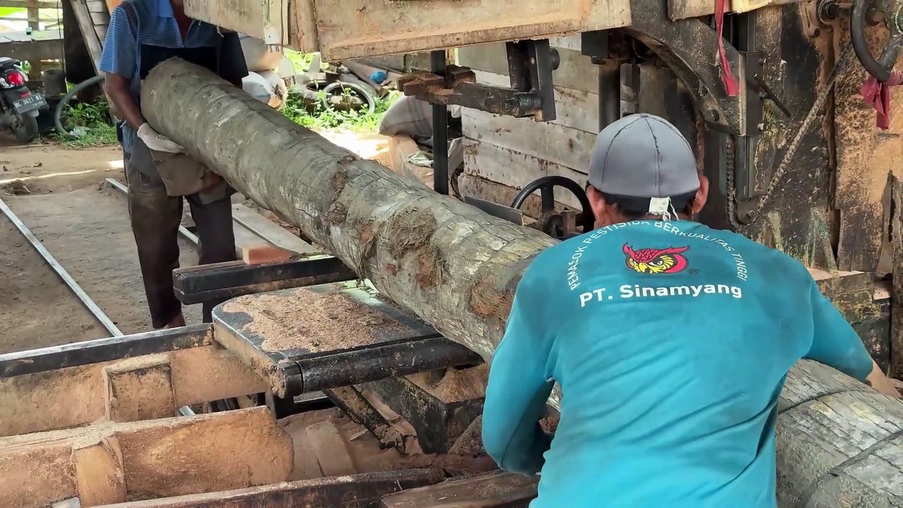 Common Mistakes in Sawing 5x5 Coconut Trees with a Sawmill