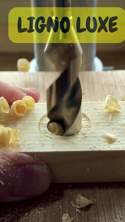 The wood vise that works wonders.