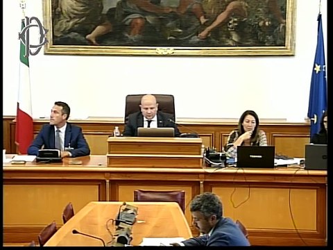Roma - Audizione informale - Avv. Paolo Piacenza (16.09.25)