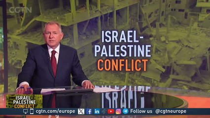 UN genocide report: "They see that Gaza has been turned to rubble"