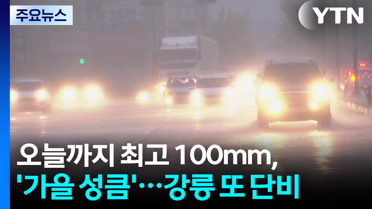 [날씨] 오늘까지 최고 100mm, 잦은 비에 '가을 성큼'...강릉 또 단비 / YTN