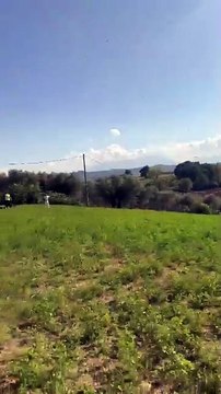 Image from field_mediaid