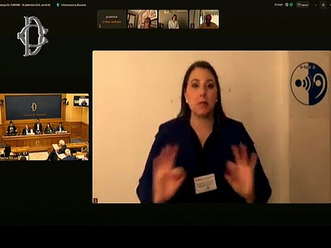 Roma - Conferenza Disability Pride - Conferenza stampa di Marco Furfaro (16.09.25)